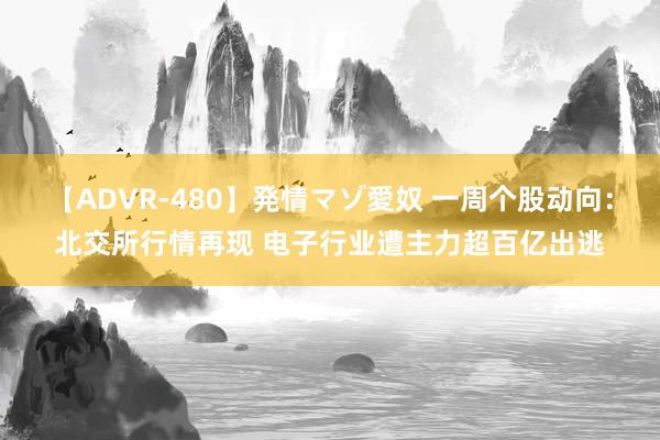 【ADVR-480】発情マゾ愛奴 一周个股动向：北交所行情再现 电子行业遭主力超百亿出逃