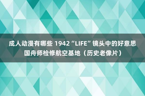 成人动漫有哪些 1942“LIFE”镜头中的好意思国舟师检修航空基地（历史老像片）