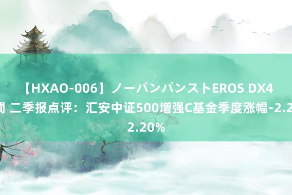 【HXAO-006】ノーパンパンストEROS DX4時間 二季报点评：汇安中证500增强C基金季度涨幅-2.20%