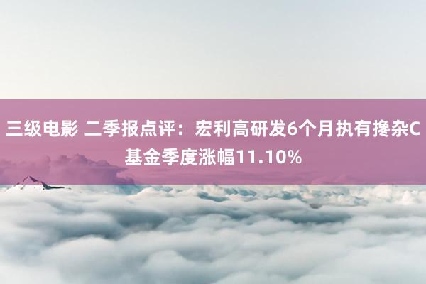 三级电影 二季报点评：宏利高研发6个月执有搀杂C基金季度涨幅11.10%