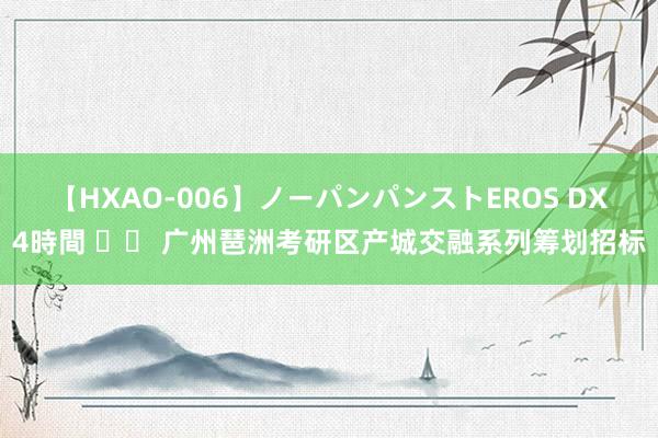 【HXAO-006】ノーパンパンストEROS DX4時間 		 广州琶洲考研区产城交融系列筹划招标