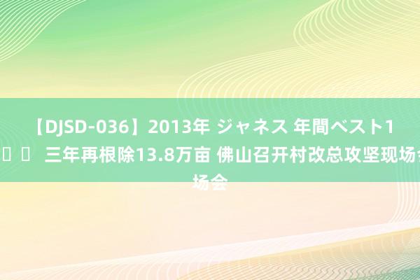 【DJSD-036】2013年 ジャネス 年間ベスト10 		 三年再根除13.8万亩 佛山召开村改总攻坚现场会