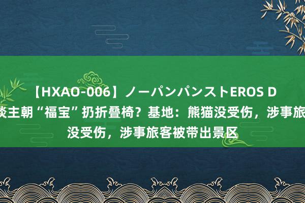 【HXAO-006】ノーパンパンストEROS DX4時間 有东谈主朝“福宝”扔折叠椅？基地：熊猫没受伤，涉事旅客被带出景区