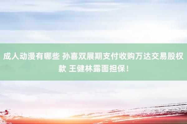 成人动漫有哪些 孙喜双展期支付收购万达交易股权款 王健林露面担保！