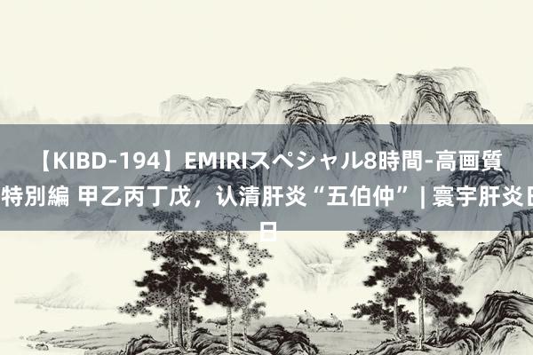 【KIBD-194】EMIRIスペシャル8時間-高画質-特別編 甲乙丙丁戊，认清肝炎“五伯仲” | 寰宇肝炎日