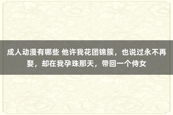 成人动漫有哪些 他许我花团锦簇，也说过永不再娶，却在我孕珠那天，带回一个侍女