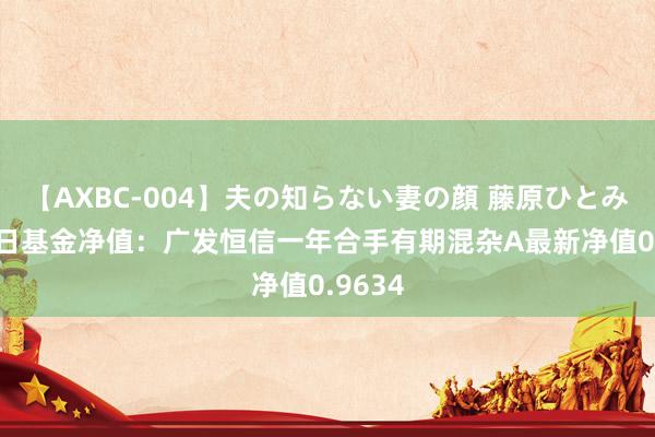 【AXBC-004】夫の知らない妻の顔 藤原ひとみ 8月9日基金净值：广发恒信一年合手有期混杂A最新净值0.9634