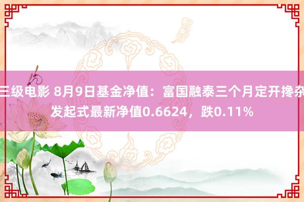 三级电影 8月9日基金净值：富国融泰三个月定开搀杂发起式最新净值0.6624，跌0.11%