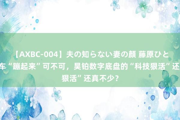 【AXBC-004】夫の知らない妻の顔 藤原ひとみ 只让车“蹦起来”可不可，昊铂数字底盘的“科技狠活”还真不少？