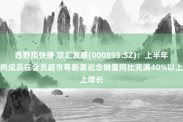 西野翔快播 双汇发展(000895.SZ)：上半年公司肉成品在会员超市等新渠说念销量同比完满40%以上增长