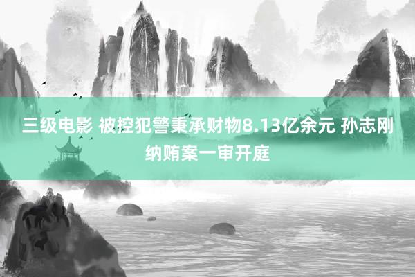 三级电影 被控犯警秉承财物8.13亿余元 孙志刚纳贿案一审开庭