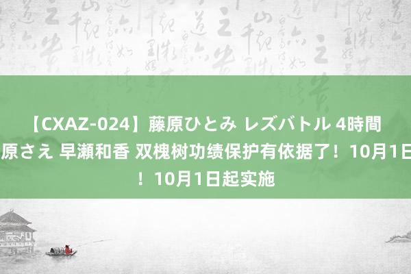 【CXAZ-024】藤原ひとみ レズバトル 4時間 feat.愛原さえ 早瀬和香 双槐树功绩保护有依据了！10月1日起实施