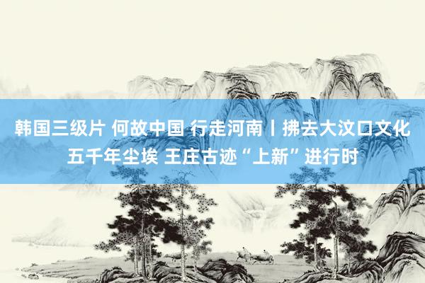 韩国三级片 何故中国 行走河南丨拂去大汶口文化五千年尘埃 王庄古迹“上新”进行时