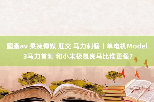 國產av 果凍傳媒 肛交 马力刺客丨单电机Model 3马力首测 和小米极氪良马比谁更强？