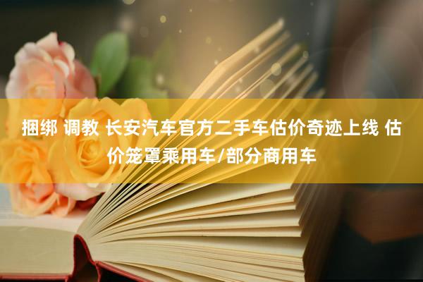 捆绑 调教 长安汽车官方二手车估价奇迹上线 估价笼罩乘用车/部分商用车