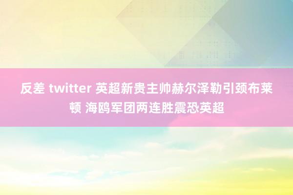 反差 twitter 英超新贵主帅赫尔泽勒引颈布莱顿 海鸥军团两连胜震恐英超