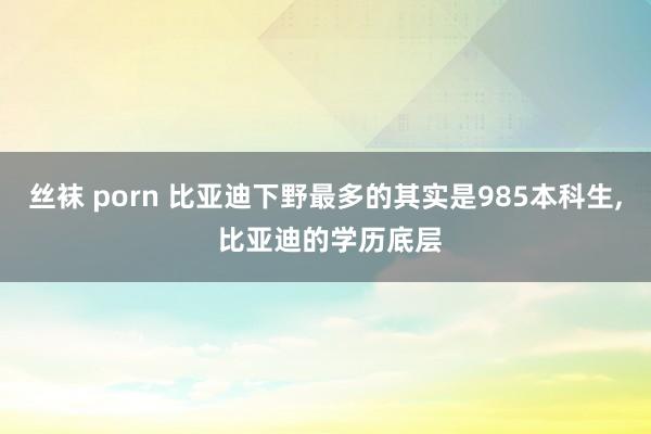 丝袜 porn 比亚迪下野最多的其实是985本科生， 比亚迪的学历底层