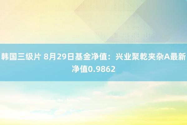 韩国三级片 8月29日基金净值：兴业聚乾夹杂A最新净值0.9862