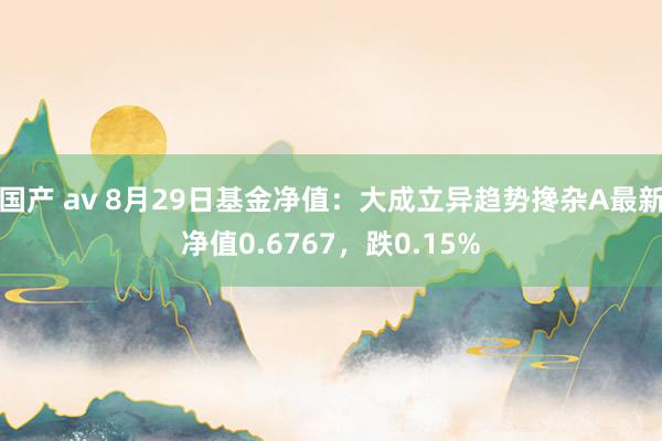 国产 av 8月29日基金净值：大成立异趋势搀杂A最新净值0.6767，跌0.15%