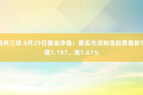 经典三级 8月29日基金净值：嘉实先进制造股票最新净值1.197，涨1.61%