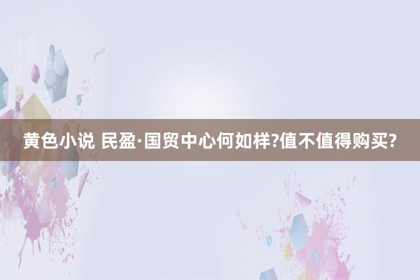 黄色小说 民盈·国贸中心何如样?值不值得购买?