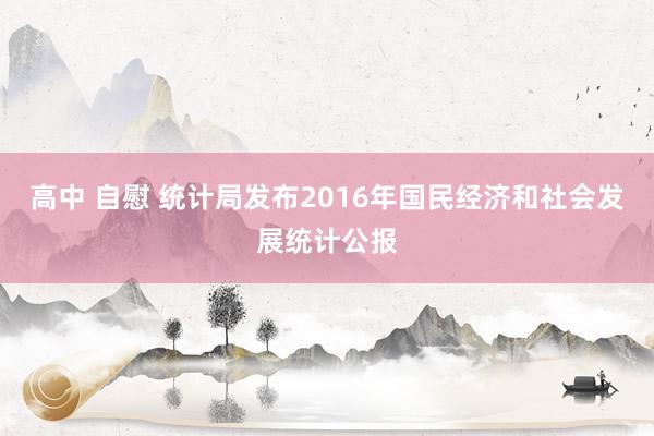 高中 自慰 统计局发布2016年国民经济和社会发展统计公报