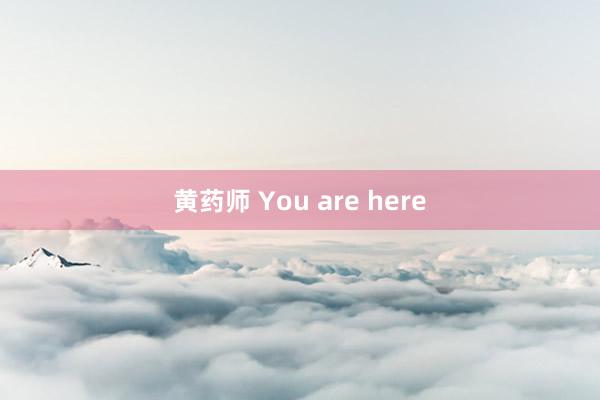 黄药师 You are here