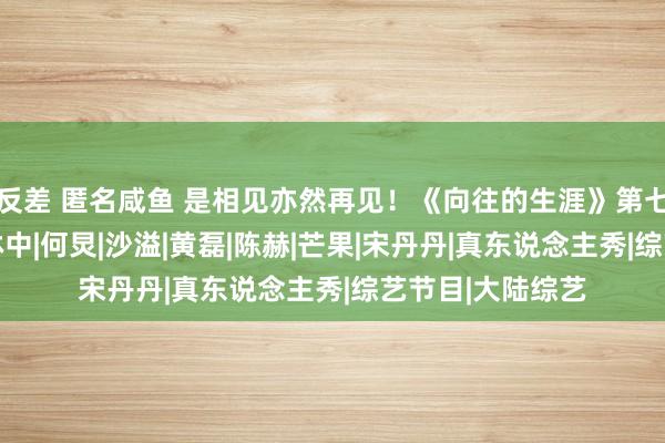 反差 匿名咸鱼 是相见亦然再见！《向往的生涯》第七季明晚首播！|林中|何炅|沙溢|黄磊|陈赫|芒果|宋丹丹|真东说念主秀|综艺节目|大陆综艺