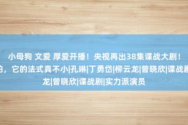 小母狗 文爱 厚爱开播！央视再出38集谍战大剧！没思到真敢拍，它的法式真不小|孔琳|丁勇岱|柳云龙|曾晓欣|谍战剧|实力派演员